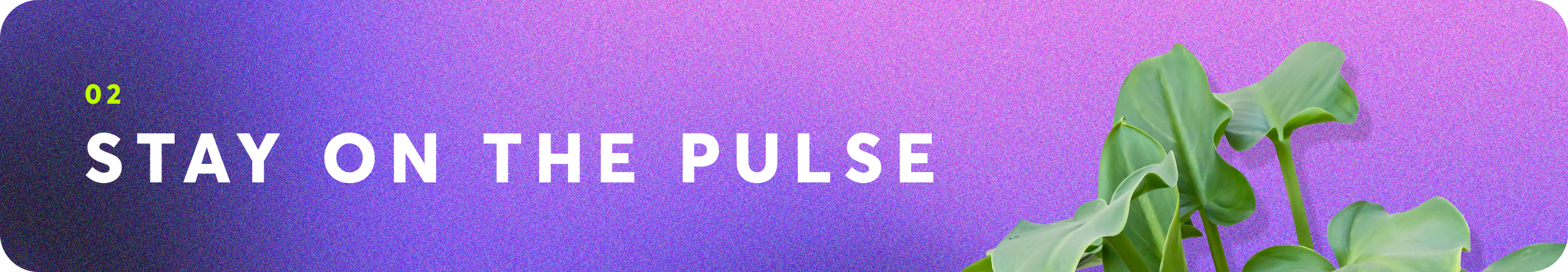Stay on the pulse